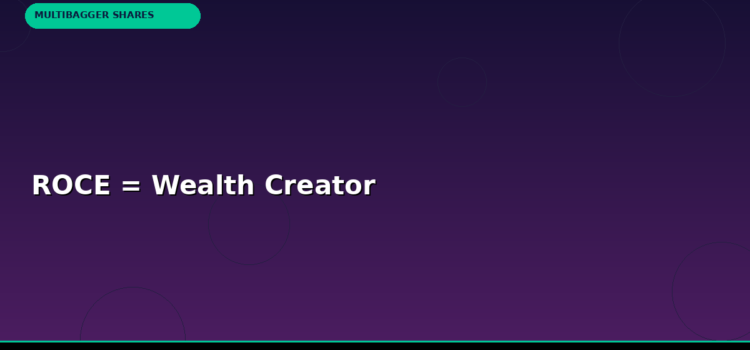 ROCE = Wealth Creator ROCE = Wealth Creator