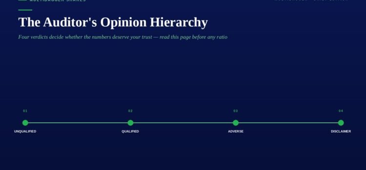 Hero header with title The Auditor's Opinion Hierarchy and a four-step timeline: Unqualified, Qualified, Adverse, Disclaimer, on a dark blue gradient.