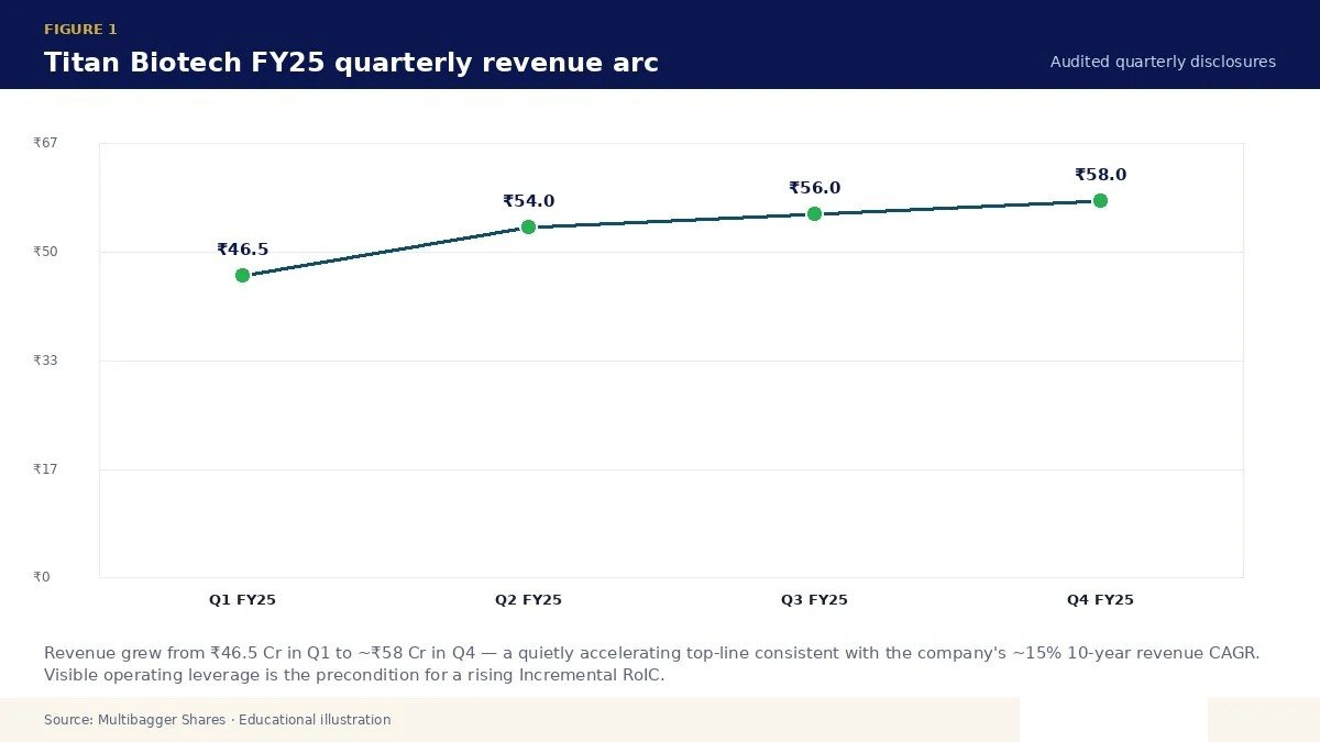 Titan Biotech FY25 quarterly revenue arc