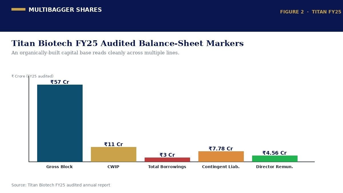 Titan Biotech FY25 Audited Balance-Sheet Markers
