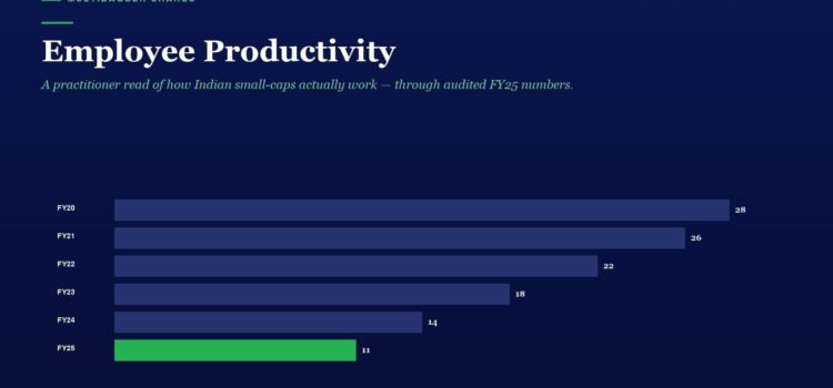 Infographic titled 'Employee Productivity' with horizontal bars showing FY20–FY25 values, peaking at 28 in FY20 and ending at 11 in FY25.